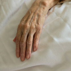 Elderly Abuse Hotline